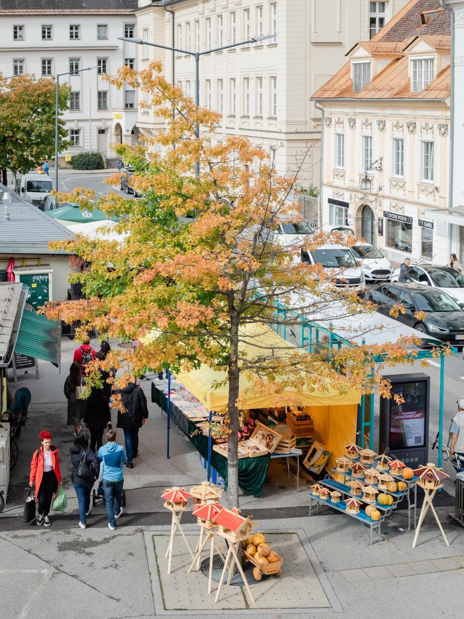 Themarketflat Schoene Wohnung Im Stadtzentrum Klagenfurt am Woerthersee Eksteriør billede